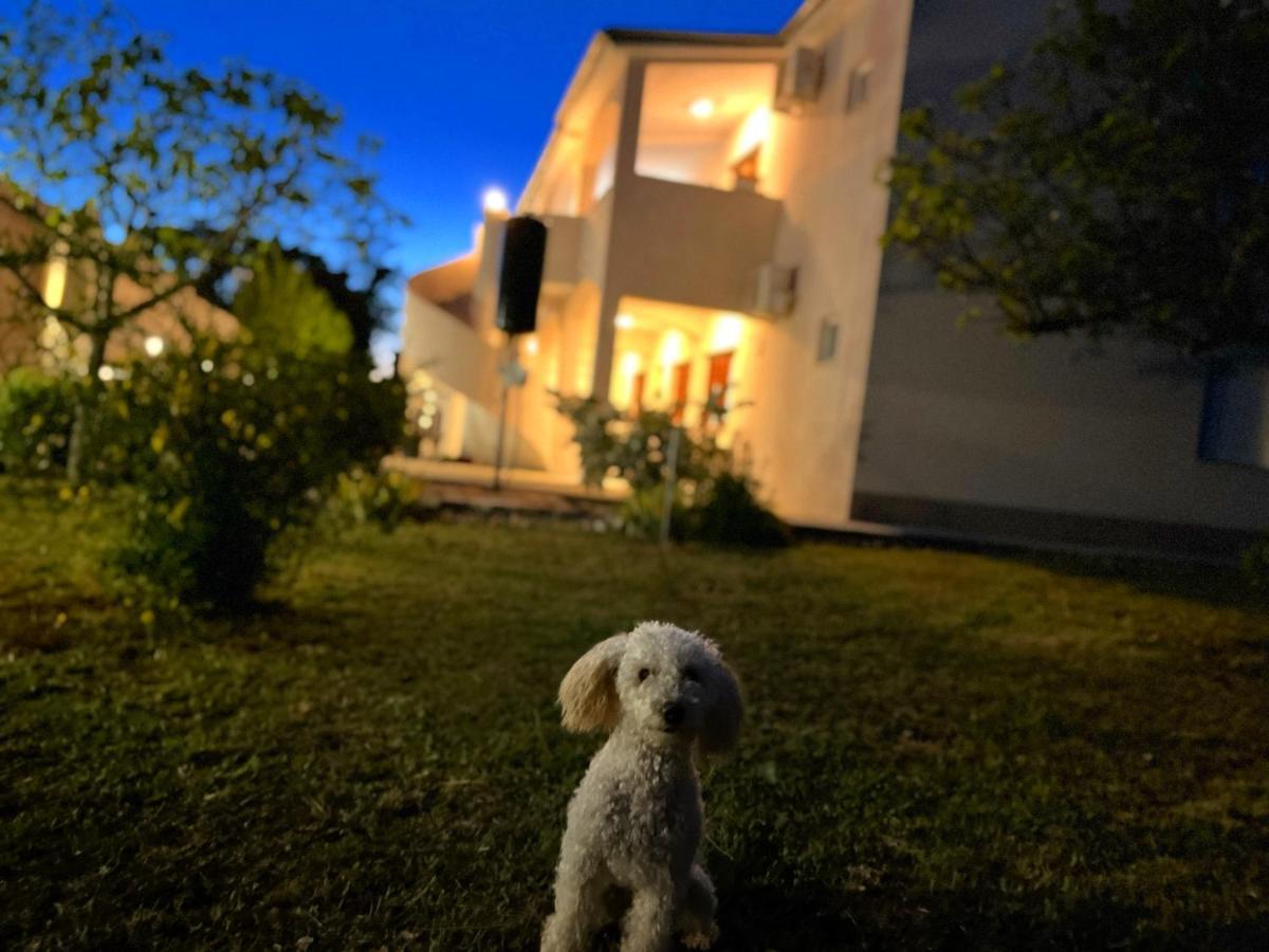 Apartments Fortuna Biograd Na Moru Bagian luar foto